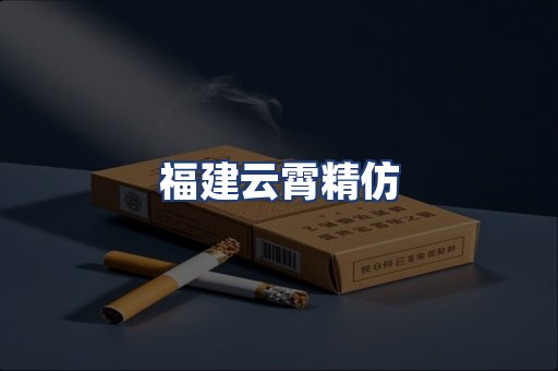 福建云霄精仿